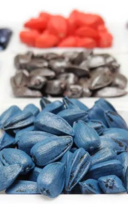 Treated Seeds of various colors