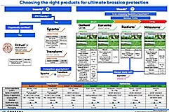 Wall chart