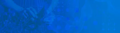 blue background flex+