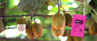 Kocide Opti Organic