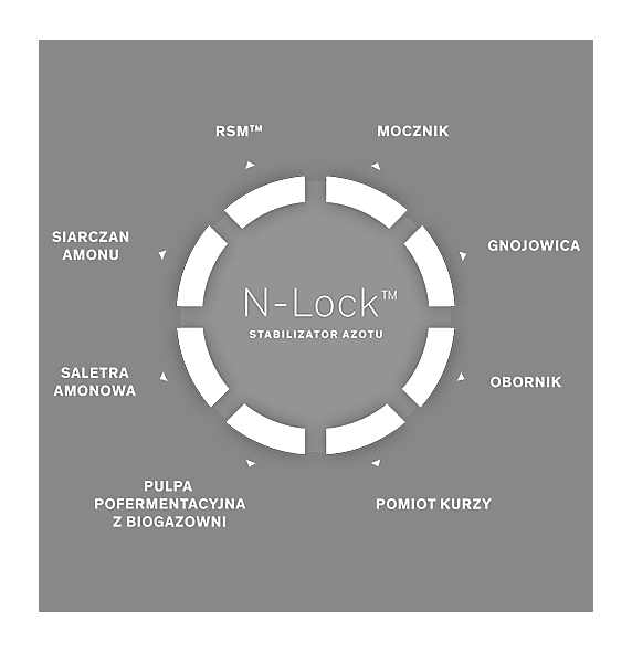 N-Lock Max
