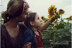 Mother and daughter inspecting sunflower