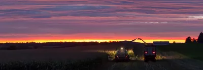 silage-field-at-sunset-1_beauty_063-1