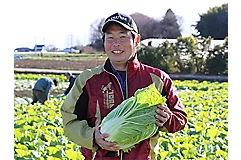 結球初期のアブラムシ防除に！　白菜生産を支援するトランスフォーム™ フロアブル