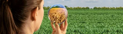 Inatreq_Header_Mobil
