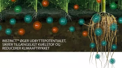 Instinct image 