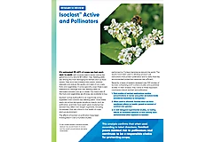 Isoclast Research Review