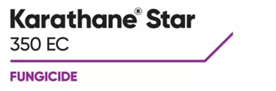 Brand_Logo