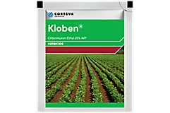 Kloben