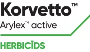 Korvetto-LV