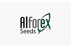 Alforex logo