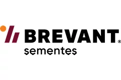 Efeitos visuais do logo Brevant 
