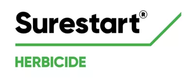 Brand_Logo
