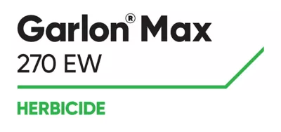 Brand_Logo