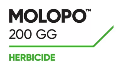 Brand_Logo