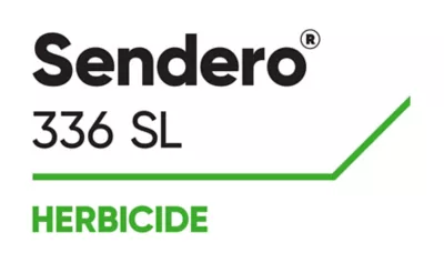 Brand_Logo