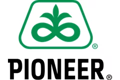 Pioneer Logo