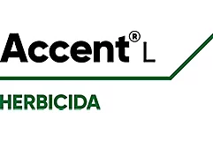 Accent® L