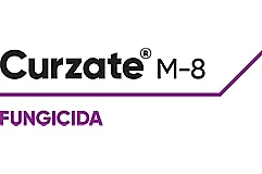 Curzate® M8