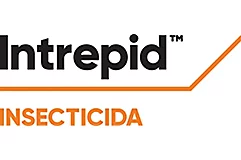 Intrepid™