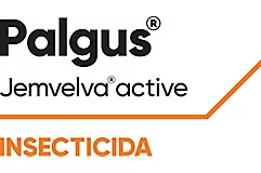 Palgus®