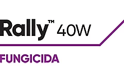 Rally™40W 