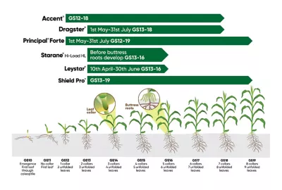 Herbicide solutions
