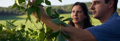 Man and Woman Inspecting Beans