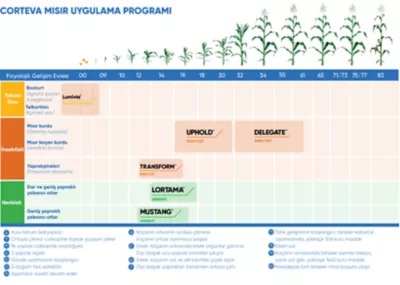 misir-ilac-programi