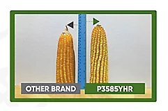 P3585PW