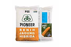P55 MEMP55ONA
