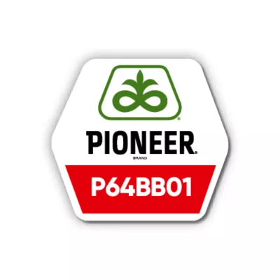 P64BB01_21