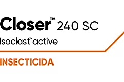 Closer™️ 240 SC 