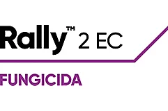 Rally™ 2 EC 
