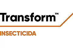 Transform™ 