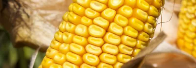 PR39F58_header
