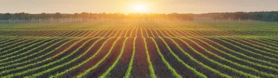 Plant Sciences Symposia