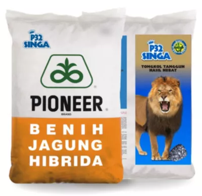 Pioneer_P32_Singa