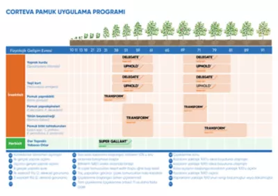 pamuk-ilac-programi