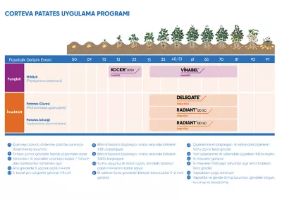 patates-ilac-programi