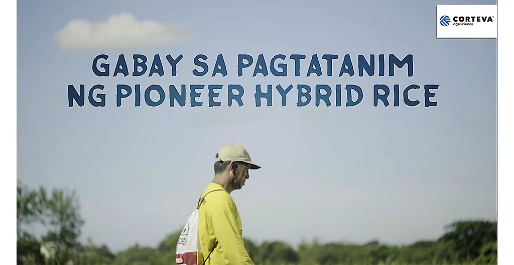 Gabay sa Pagtatanim ng Pioneer Hybrid Rice Seeds