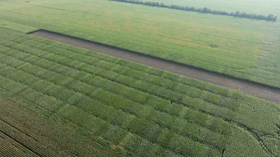 Pioneer_2.jpg