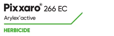 Brand_Logo