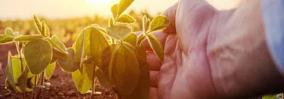 ProductStewardship_Belzer