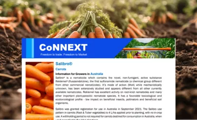 Salibro Reklemel Trade Information - Carrots