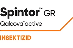 Spintor™ GR