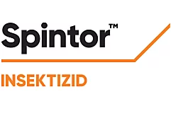 Spintor