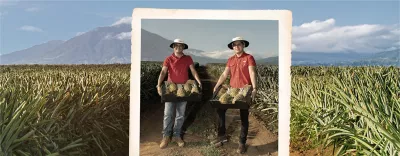 Cultivando Progreso
