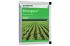 Strongarm