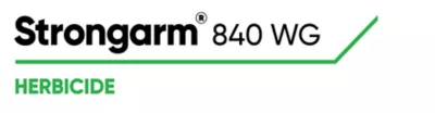 Brand_Logo